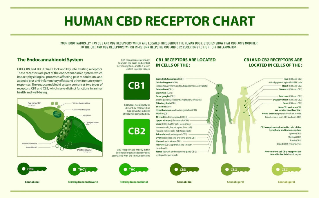 How effective is Hemp alone...without THC - Triple Crown Organics