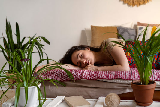 Melatonin or CBD: What's the Best Choice for Sleep?