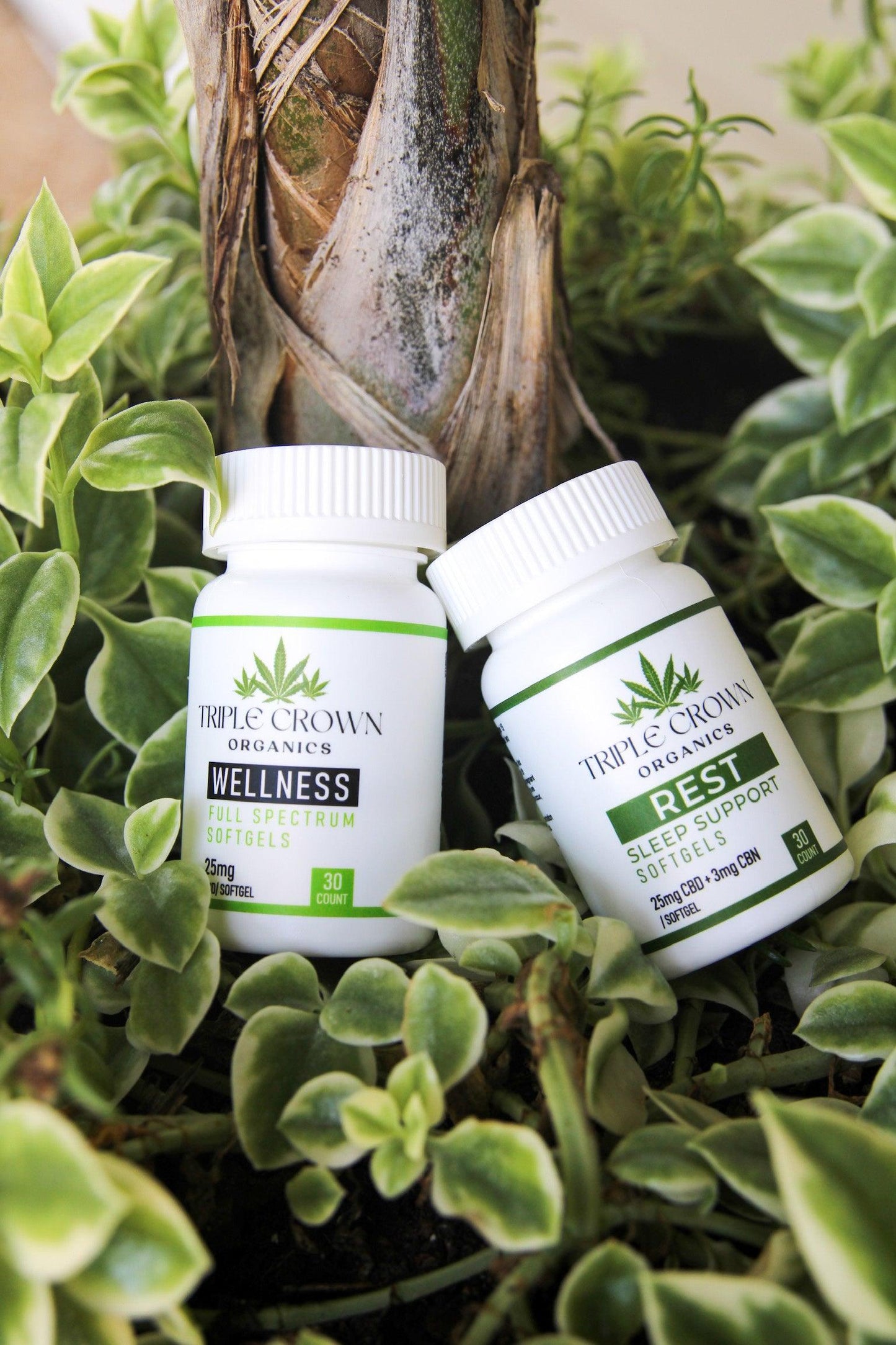 CBD Wellness Softgels - Triple Crown Organics