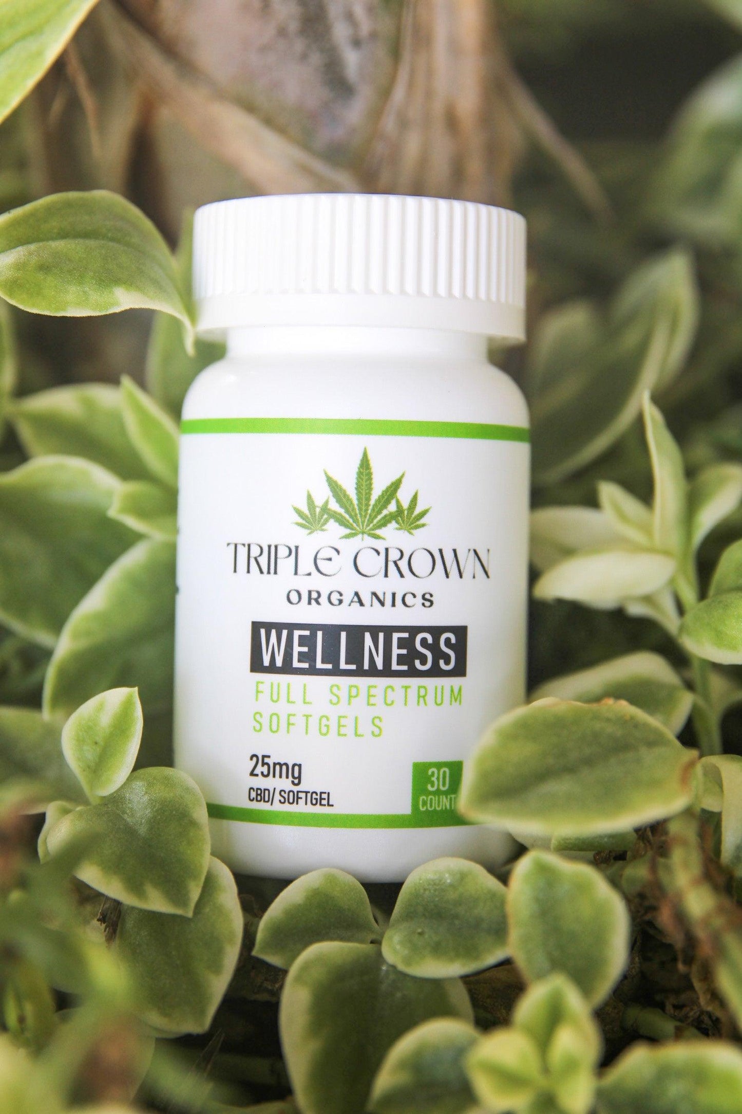 CBD Wellness Softgels - Triple Crown Organics